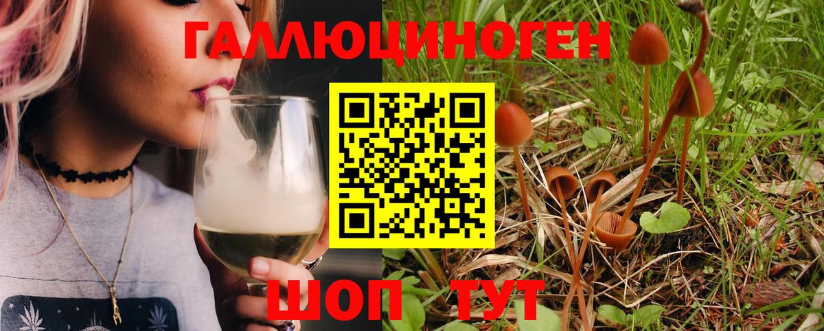 Галлюциногенные грибы GOLDEN TEACHER  Псилоцибиновые грибы Psilocybine cubensis  Вход с VPN  Дзержинск 